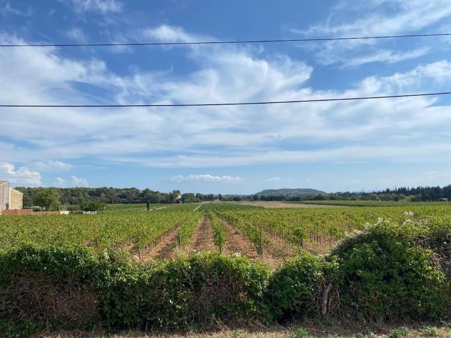 Une Parenthese Face Aux Vignes 소르그스 외부 사진